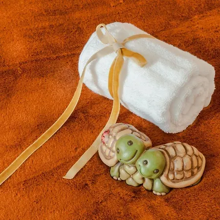 La Casa Delle Tartarughe ゲストハウス